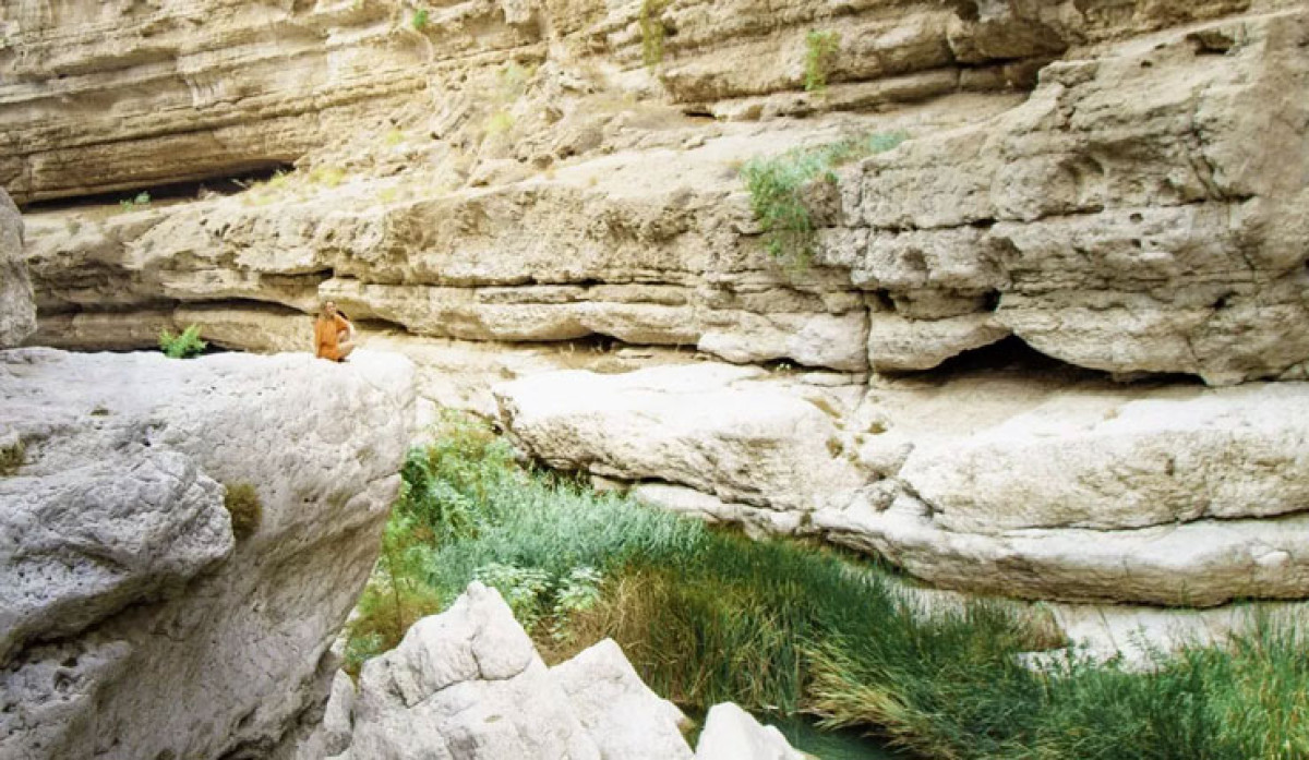 A Wadi Walk
