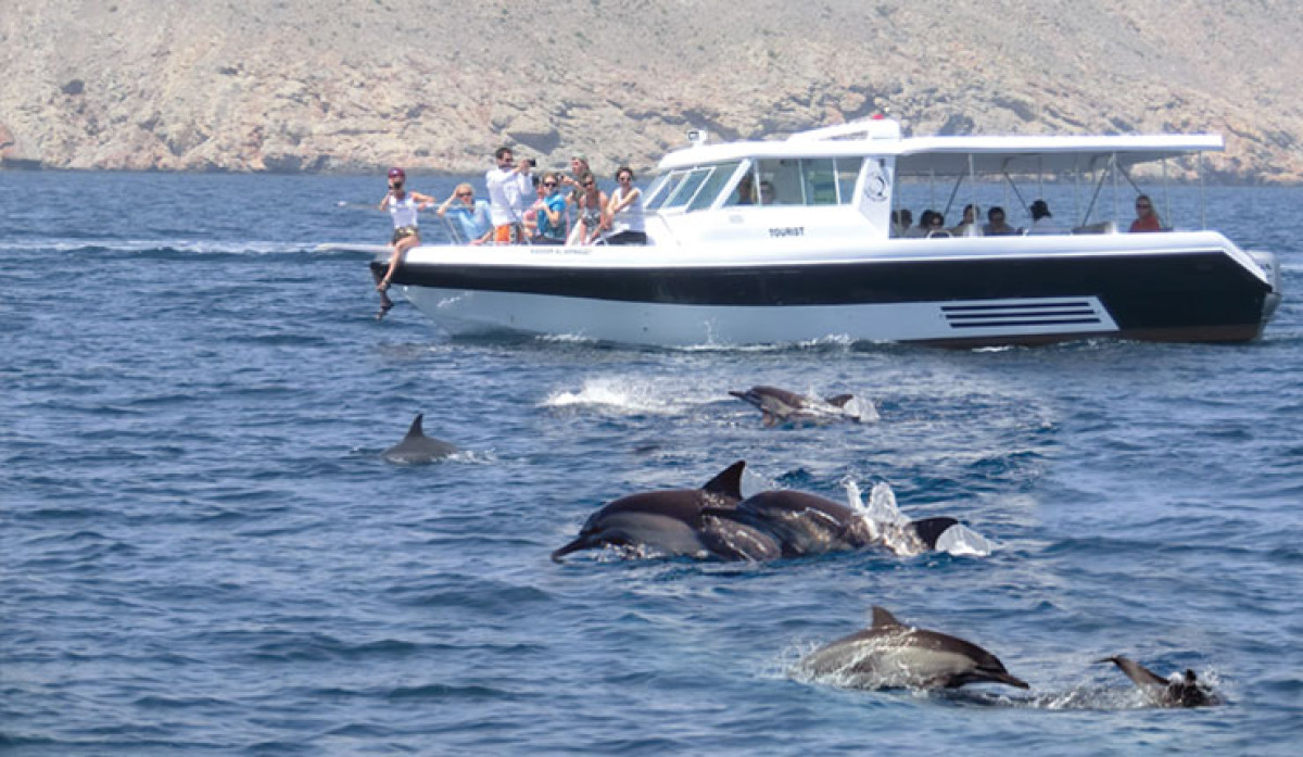 Dolphin watching